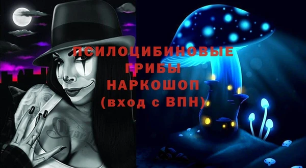 стаф Гусь-Хрустальный