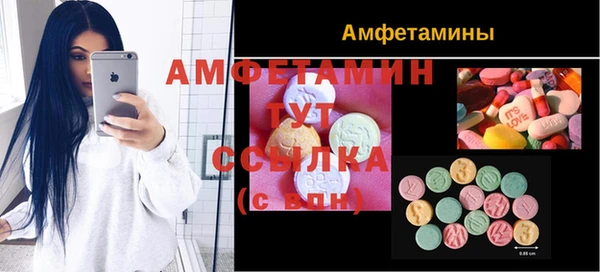 индика Гусиноозёрск