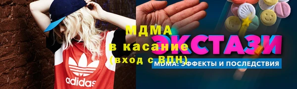 индика Гусиноозёрск