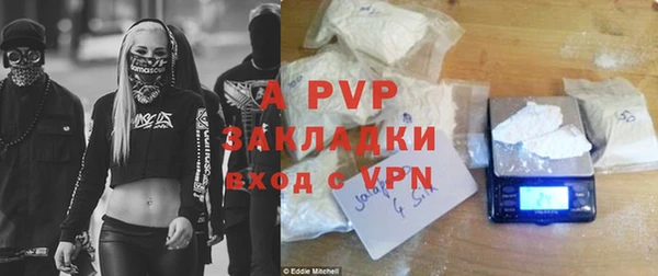 индика Гусиноозёрск