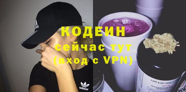 стаф Гусь-Хрустальный
