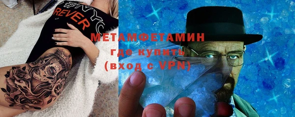 индика Гусиноозёрск