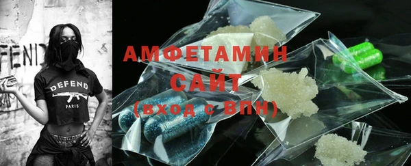 амф Дмитриев