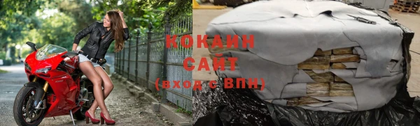 индика Гусиноозёрск